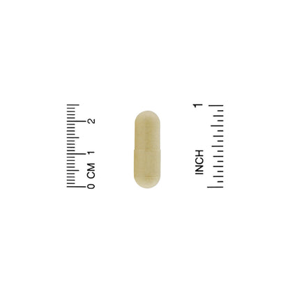 Organic India Moringa 90 Veggie Caps Gluten-Free, Organic, Vegan, Vegetarian